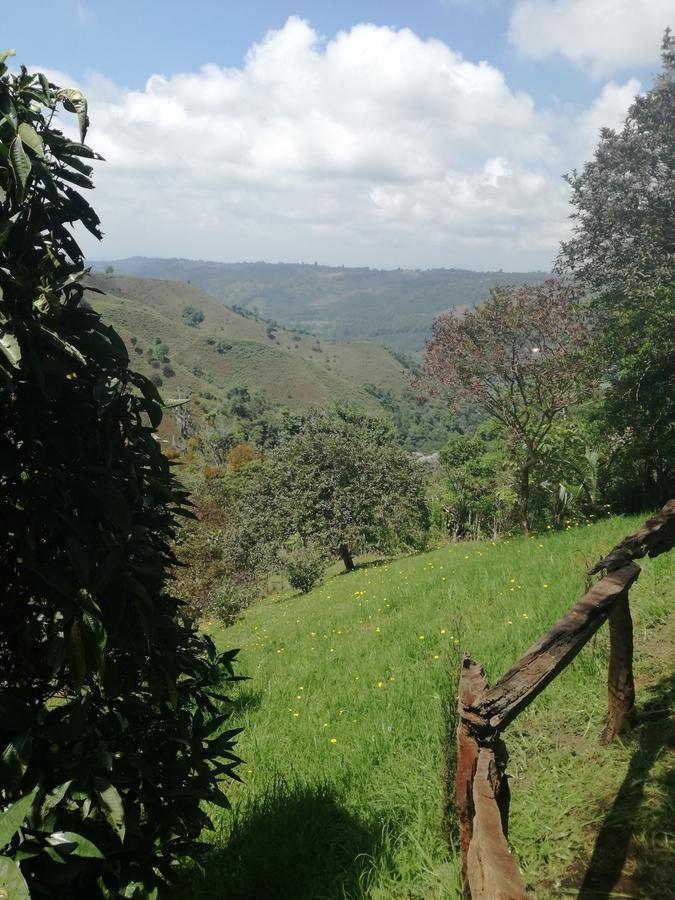 Ecorefugio Las Mirlas Salento Esterno foto