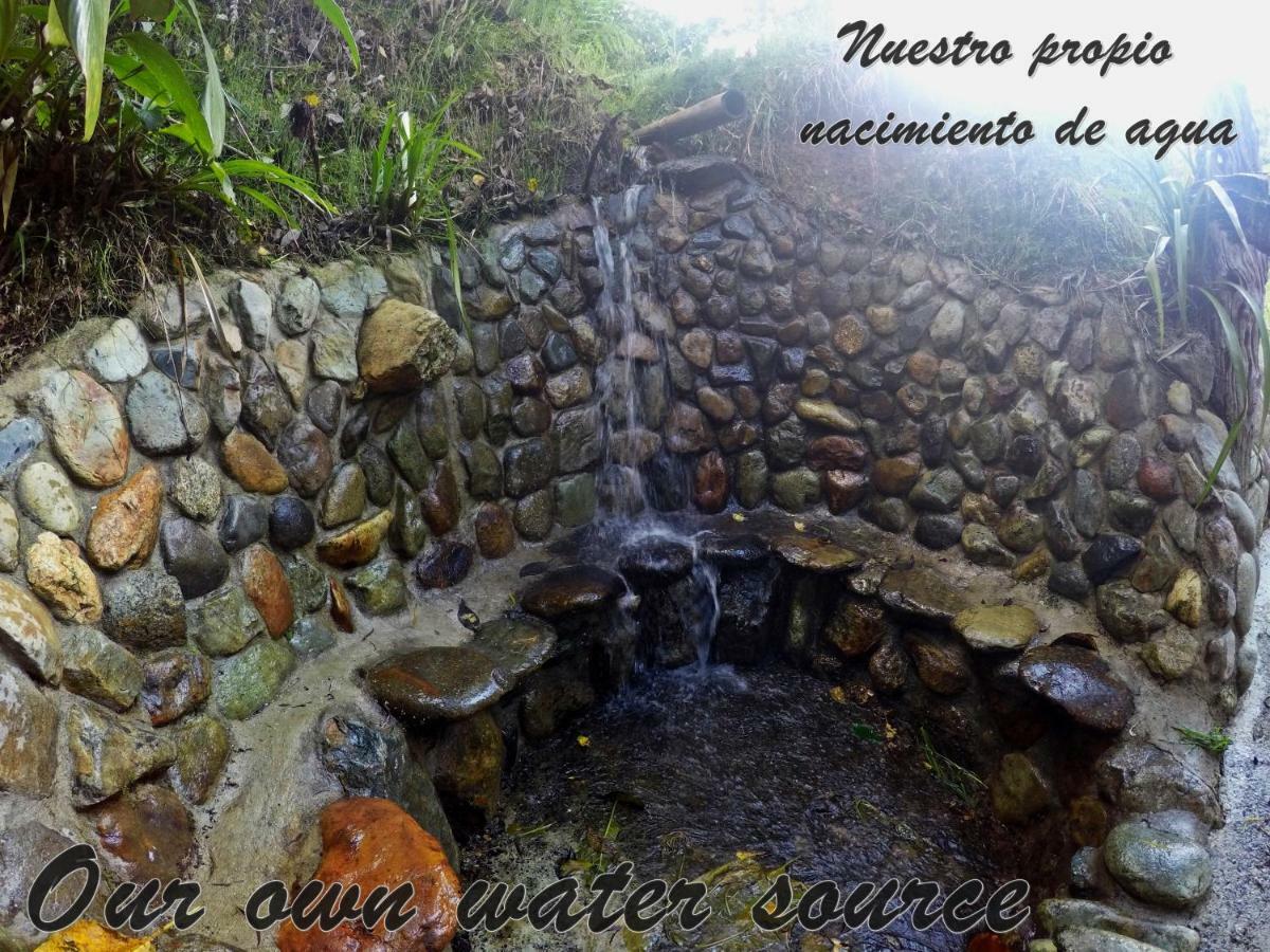 Ecorefugio Las Mirlas Salento Esterno foto
