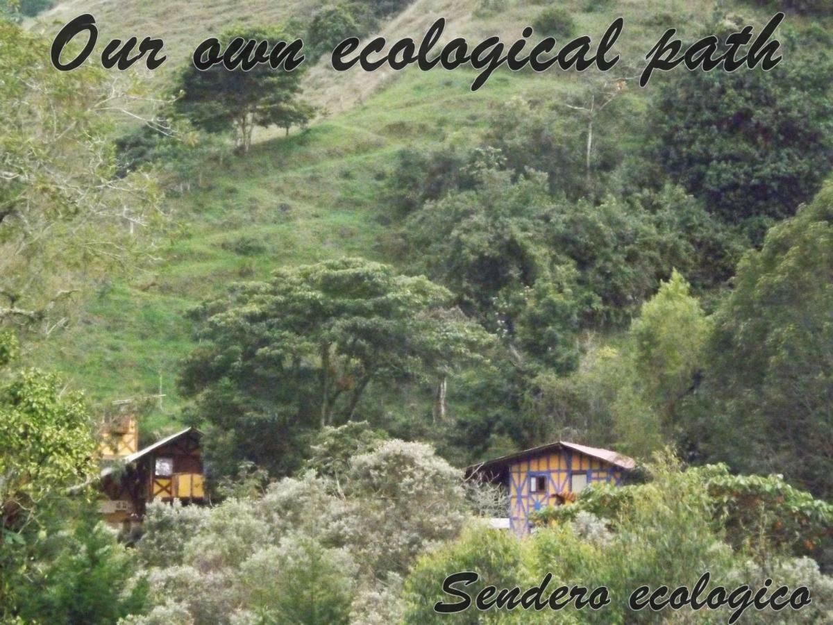 Ecorefugio Las Mirlas Salento Esterno foto